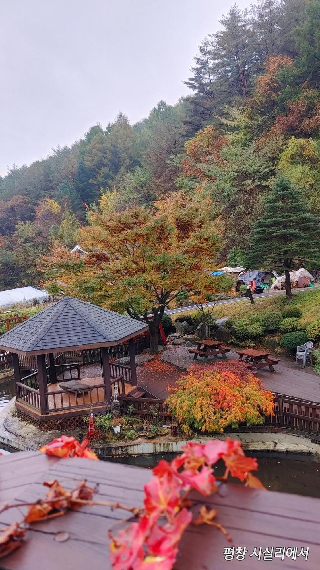 Sisilli Pension Пхёнчхан Экстерьер фото