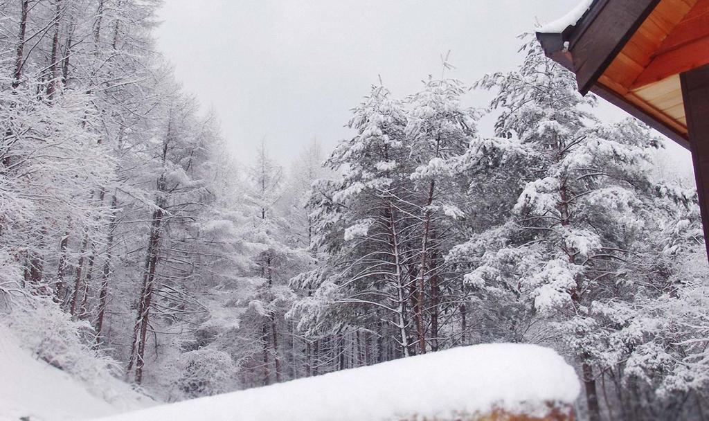 Sisilli Pension Пхёнчхан Экстерьер фото