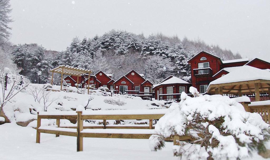 Sisilli Pension Пхёнчхан Экстерьер фото