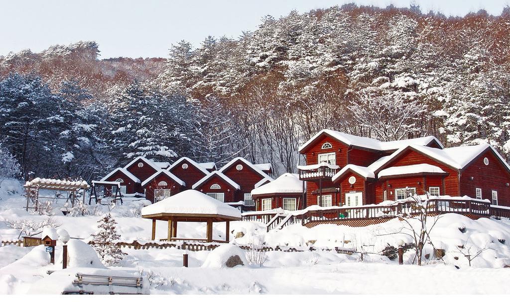 Sisilli Pension Пхёнчхан Экстерьер фото